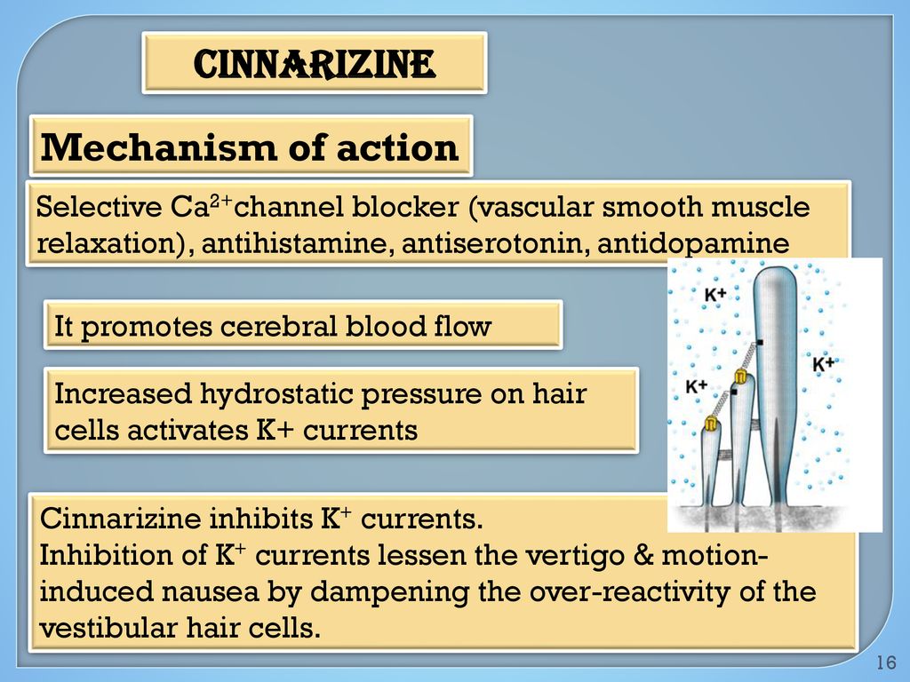 Image result for cinnarizine mode of action