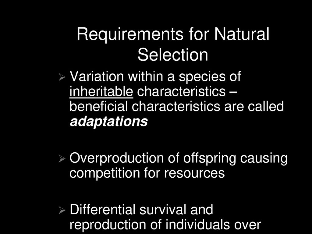 Evolution ppt download