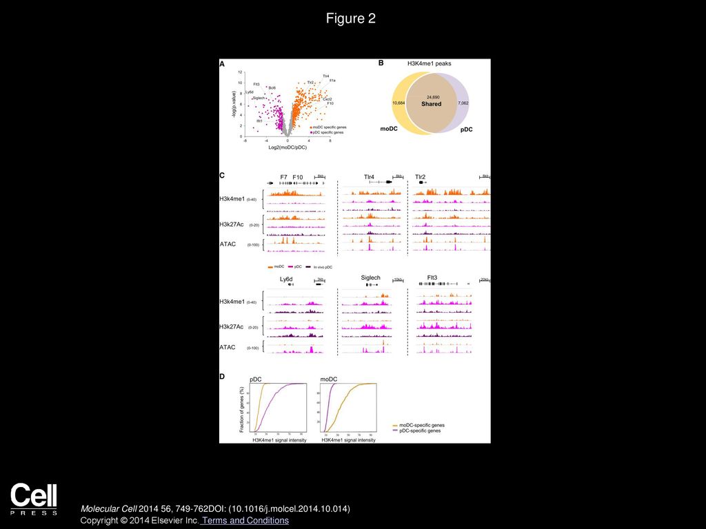 Fig S2 Integrative Topological Genomics Overview Part 2 A