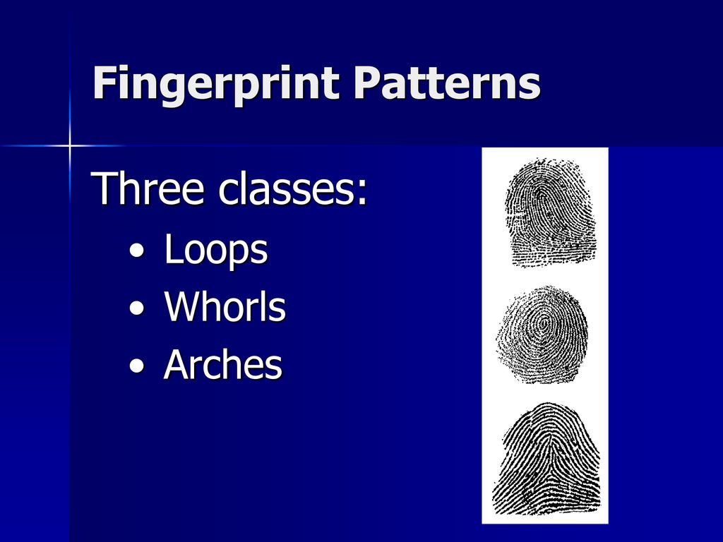 Fingerprints. - ppt download