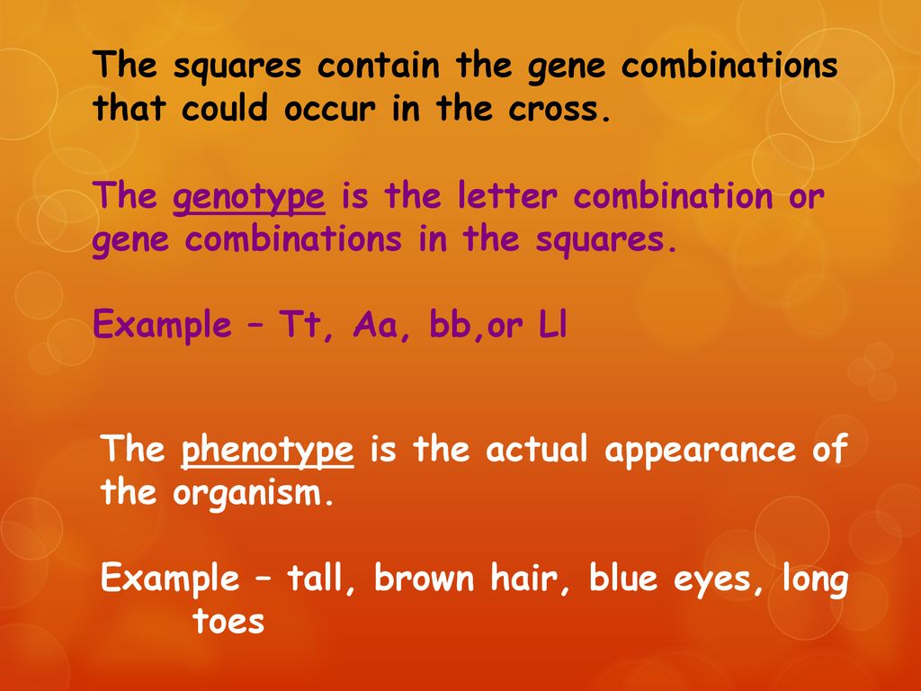 All Living Things Reproduce!!! All Living Things Have DNA!!! - Ppt Download