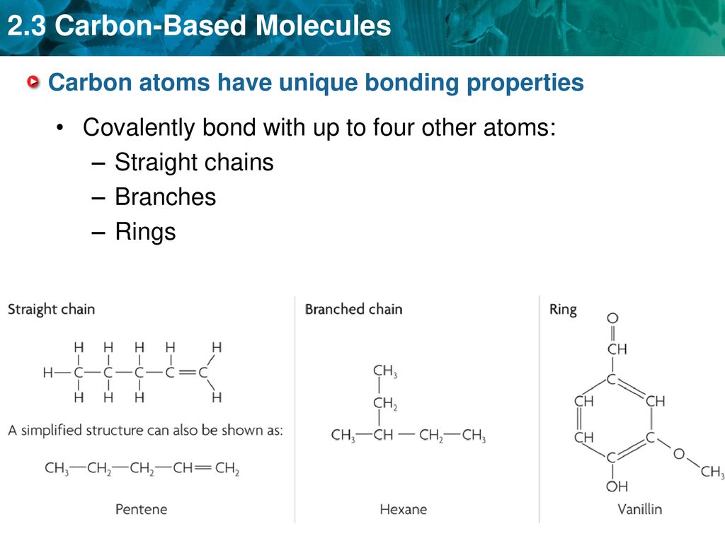 Carbon+atoms+have+unique+bonding+properties