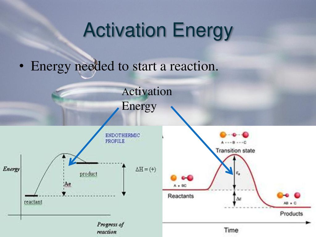 Enzymes and Chemical Reactions - ppt download