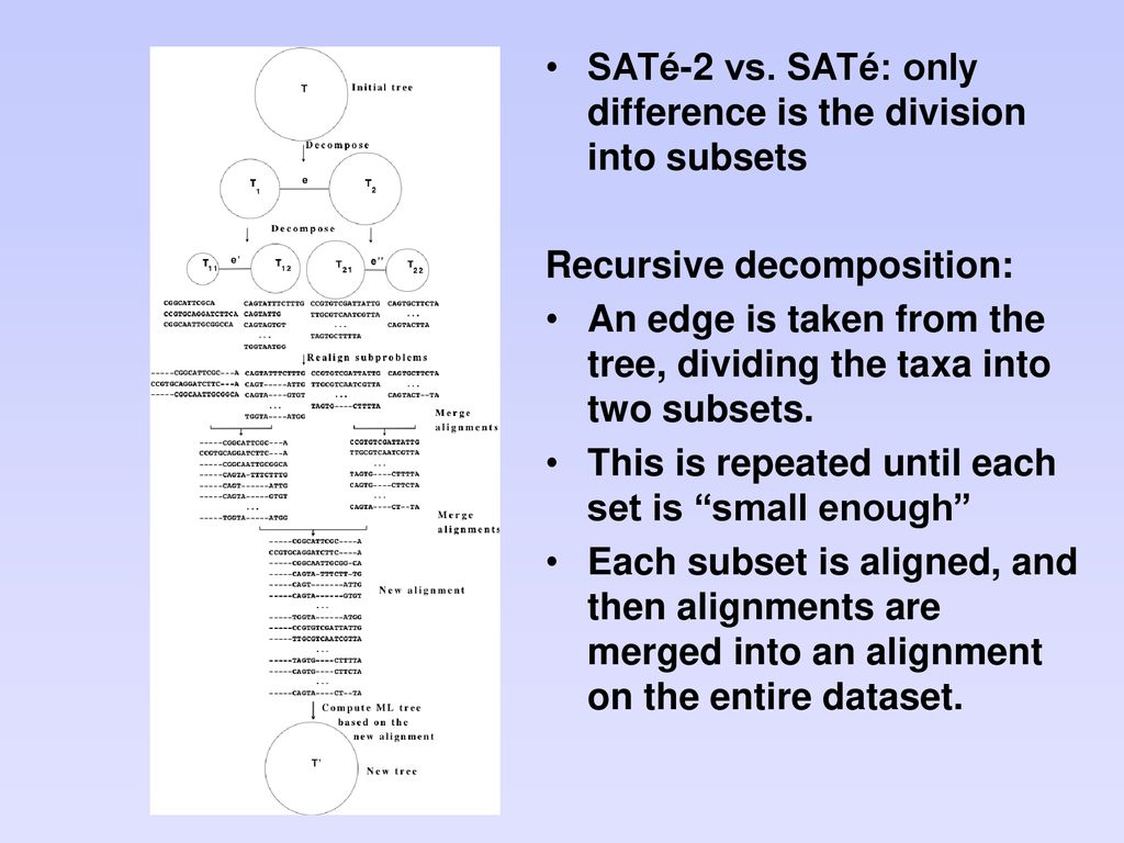 New methods for simultaneous estimation of trees and alignments - ppt ...