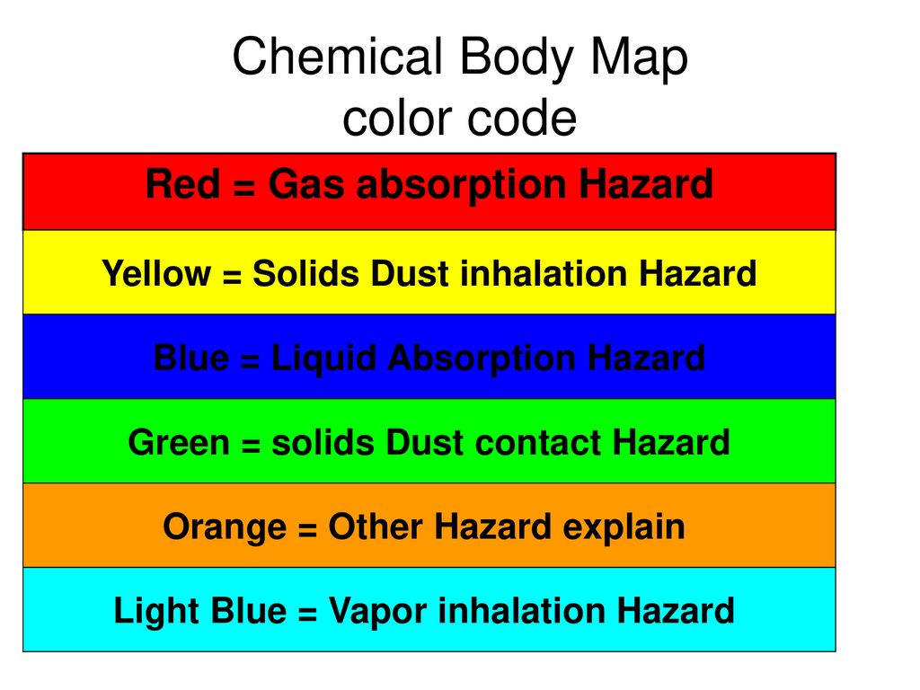 Body Mapping. Body Mapping Chemical Body Mapping Activity For ...
