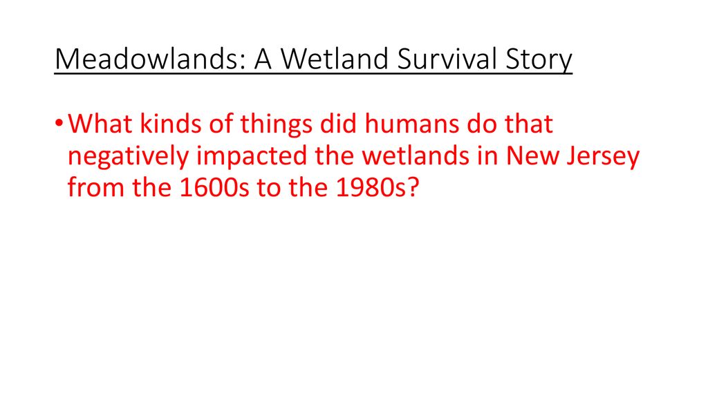 Meadowlands: A Wetland Survival Story
