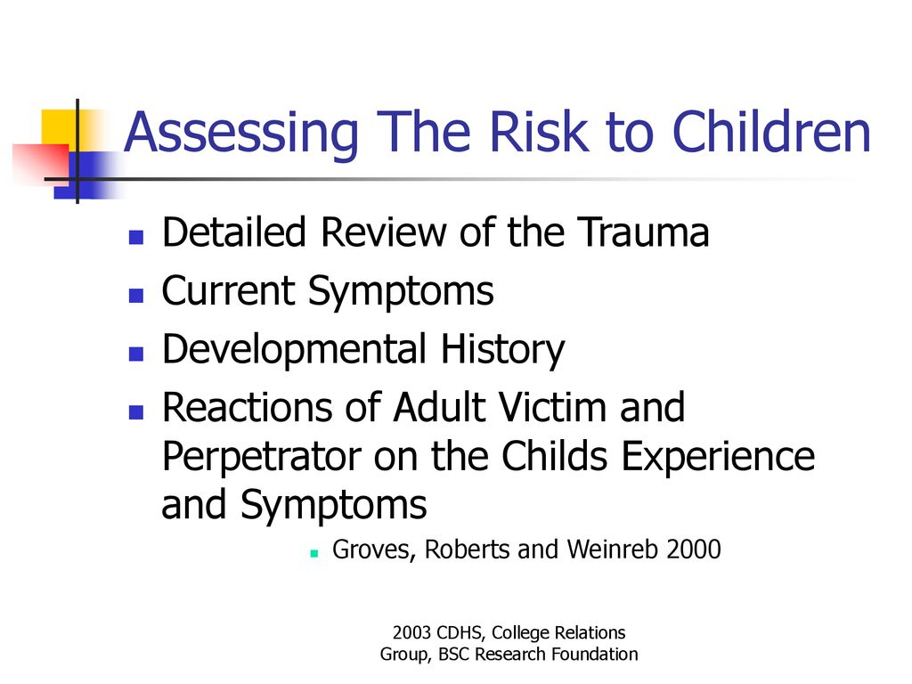 Assessing The Risk to Children