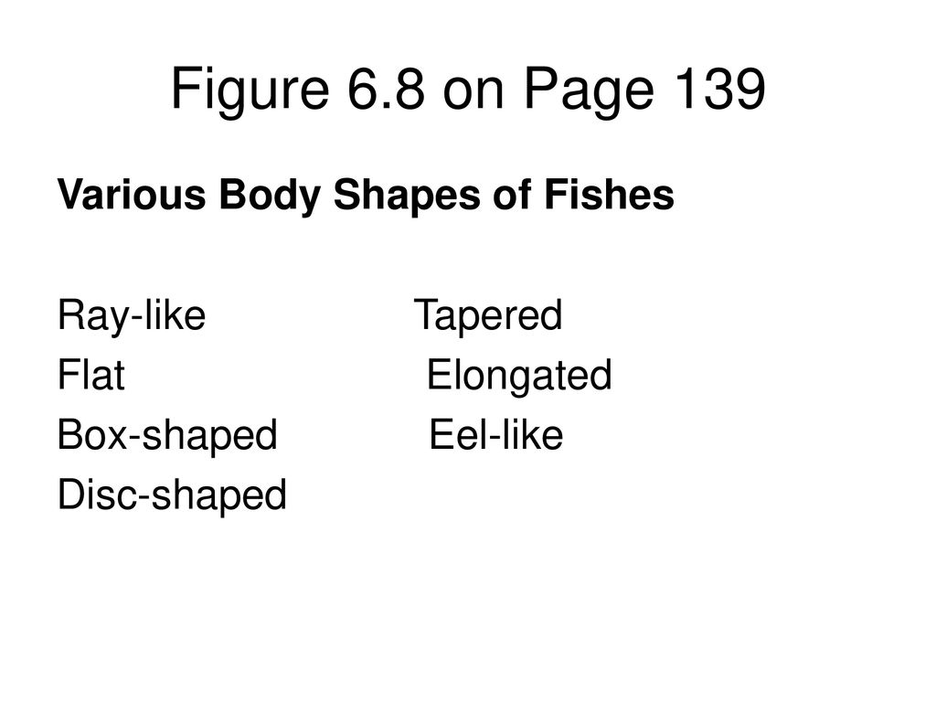 Figure 6.8 on Page 139 Various Body Shapes of Fishes Ray-like Tapered
