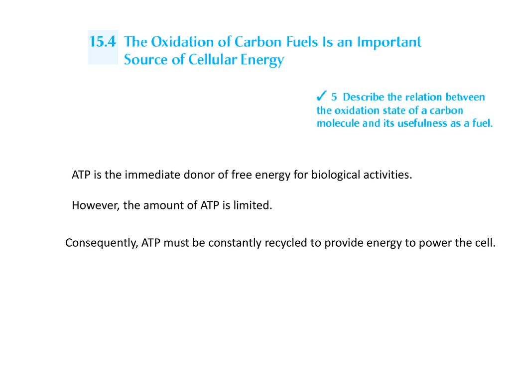 ATP is the immediate donor of free energy for biological activities.
