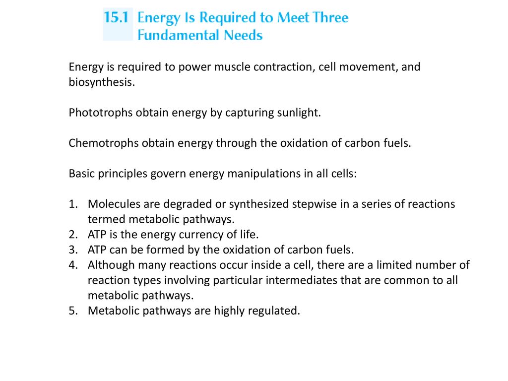 Energy is required to power muscle contraction, cell movement, and biosynthesis.