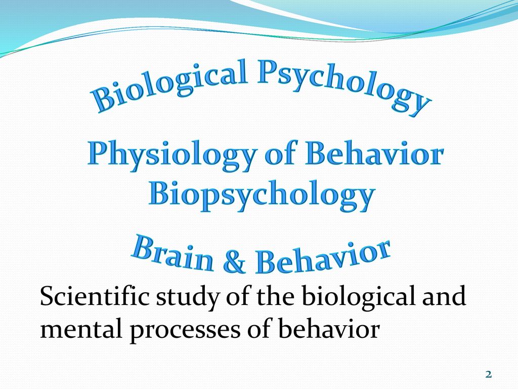 The Biological Basis of Behavior - ppt download