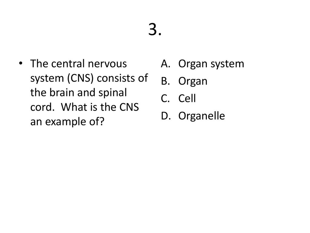 3. The central nervous system (CNS) consists of the brain and spinal cord. What is the CNS an example of