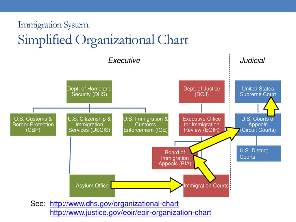 Doj Org Chart