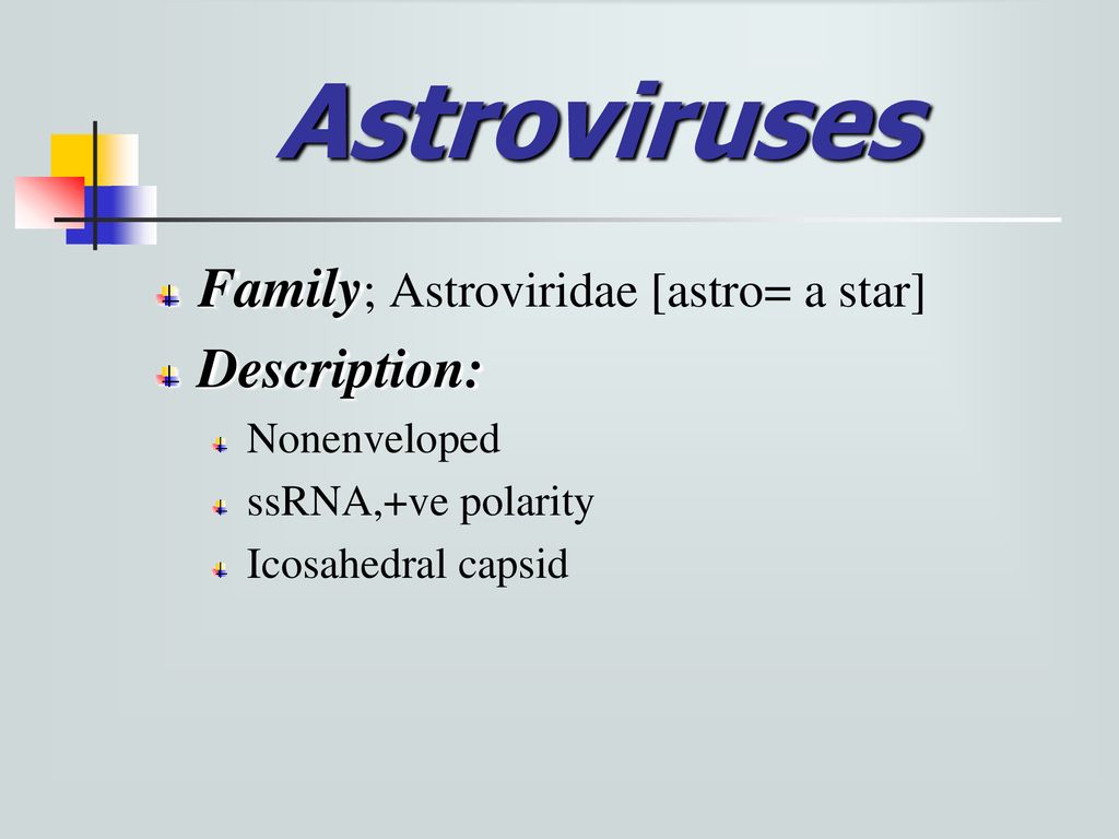 Astroviruses Family; Astroviridae [astro= a star] Description: