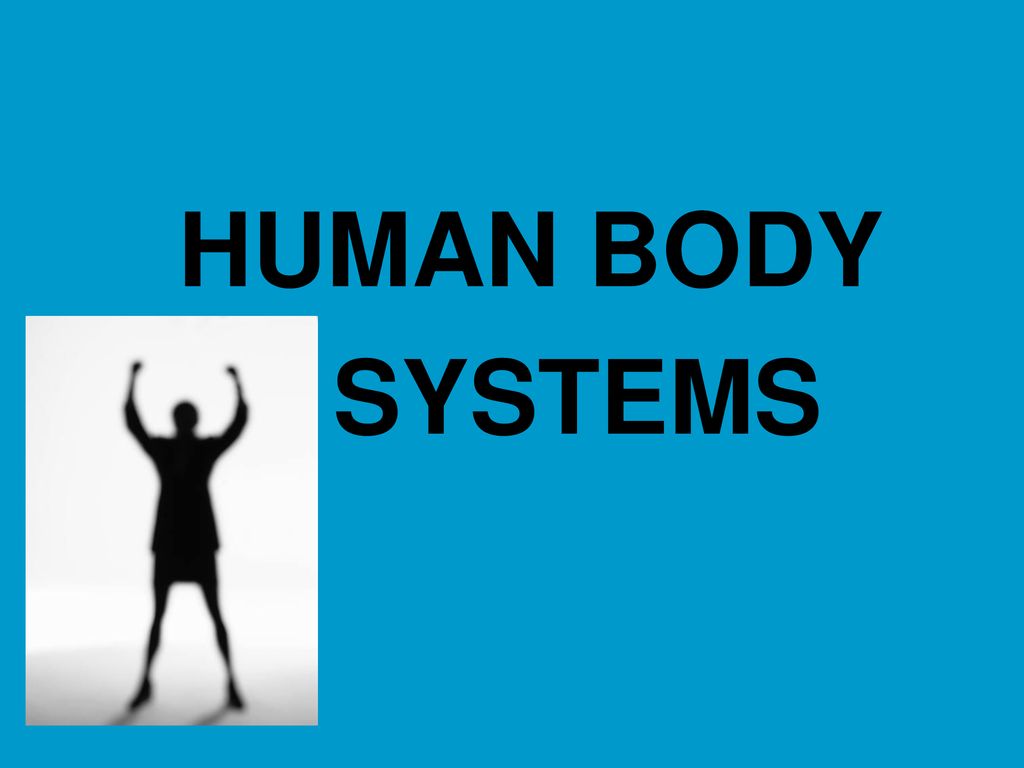 HUMAN BODY SYSTEMS. Biology Diagrams