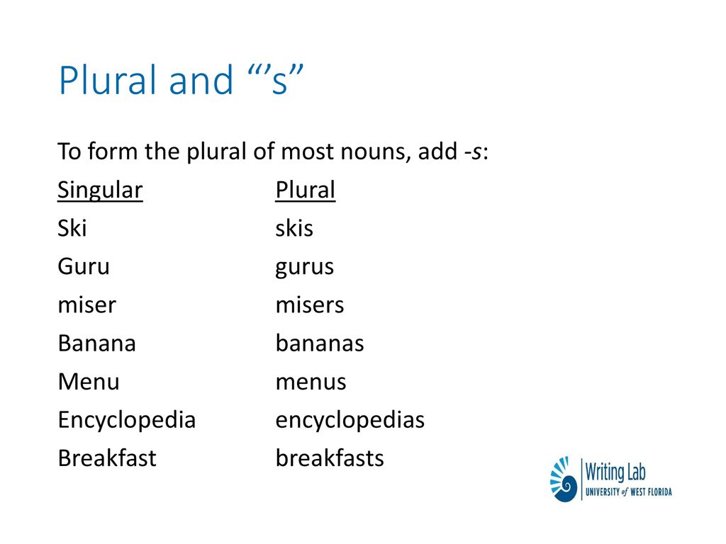 Singular and Plural Nouns - ppt download