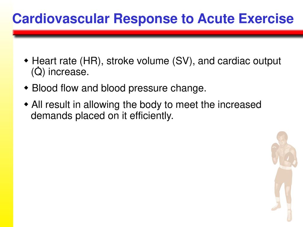 CARDIOVASCULAR CONTROL DURING EXERCISE - ppt download