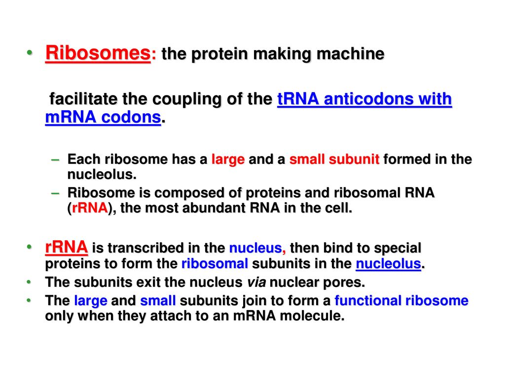 The Synthesis of Protein Biology Diagrams