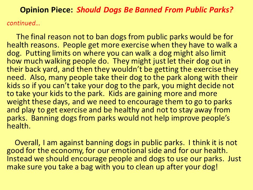 Opinion Piece: Should Dogs Be Banned From Public Parks
