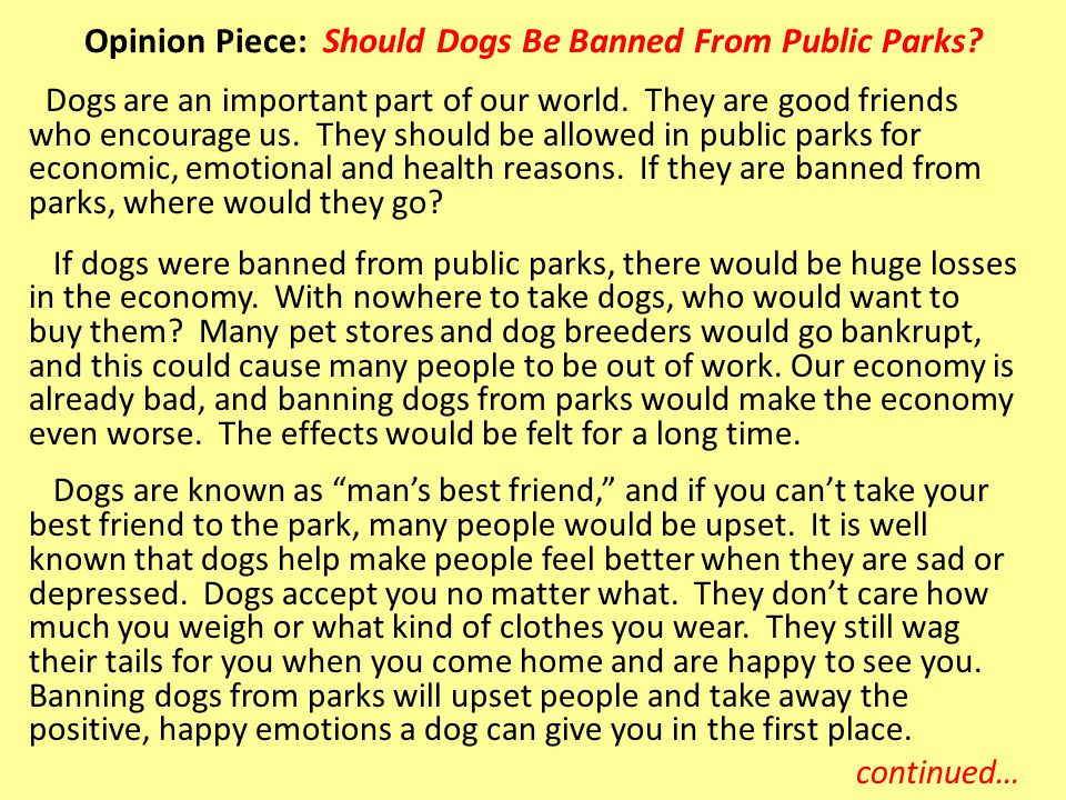 Opinion Piece: Should Dogs Be Banned From Public Parks
