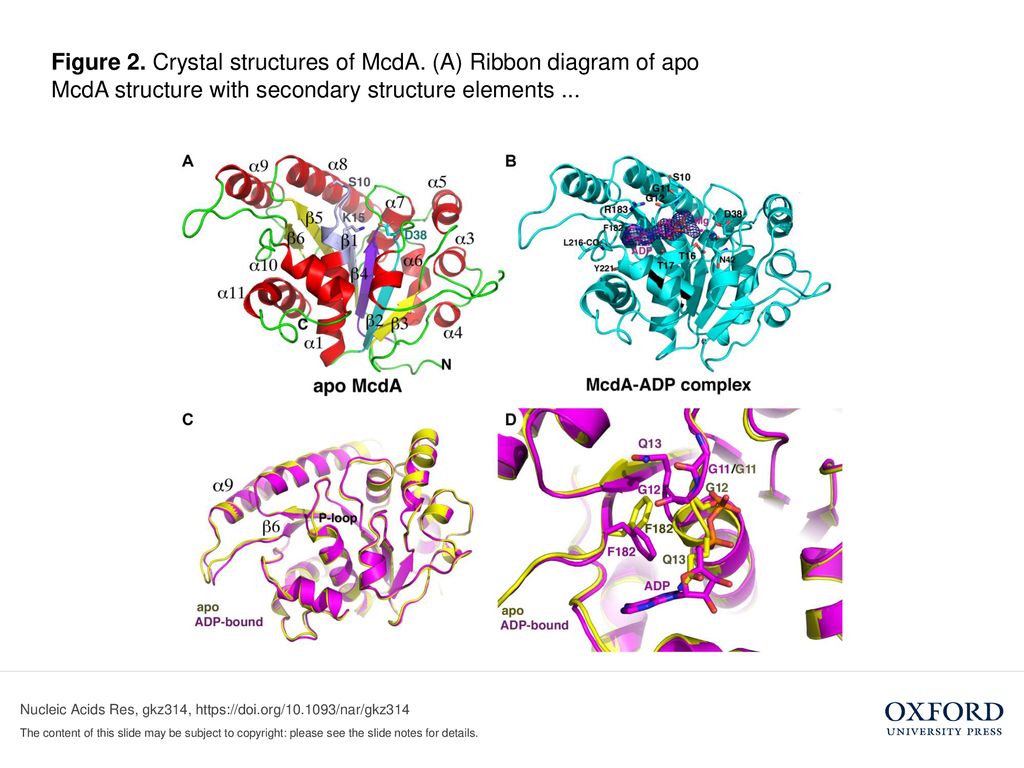 Figure 1. Fluorescence polarization (FP) binding analyses of purified ...