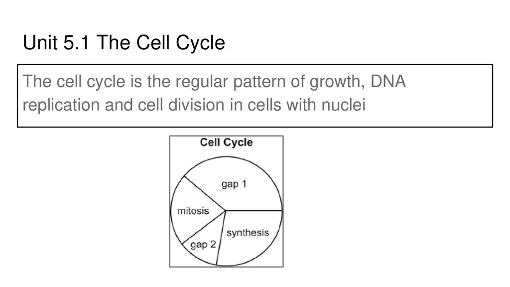 Unit 5.1 THE CELL CYCLE. Biology Diagrams