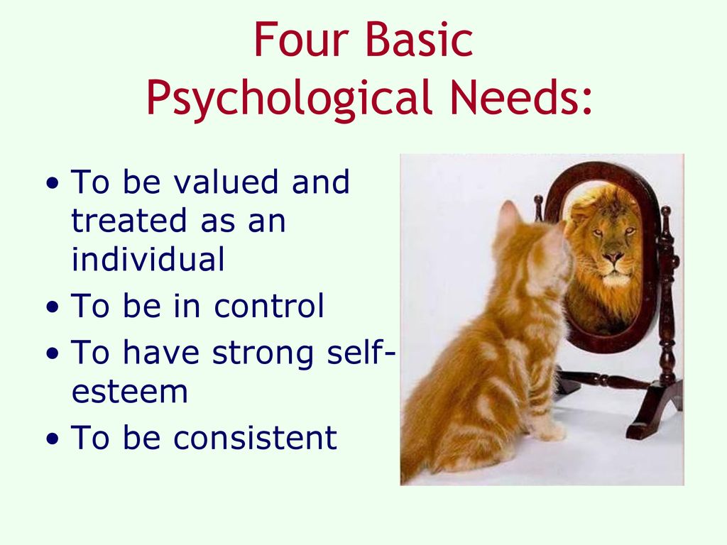 Four Basic Psychological Needs: