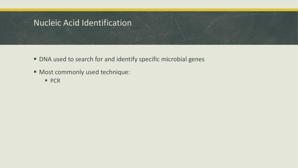 Nucleic Acid Identification