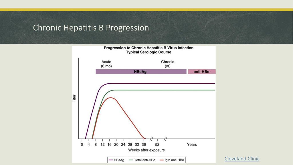 Chronic Hepatitis B Progression