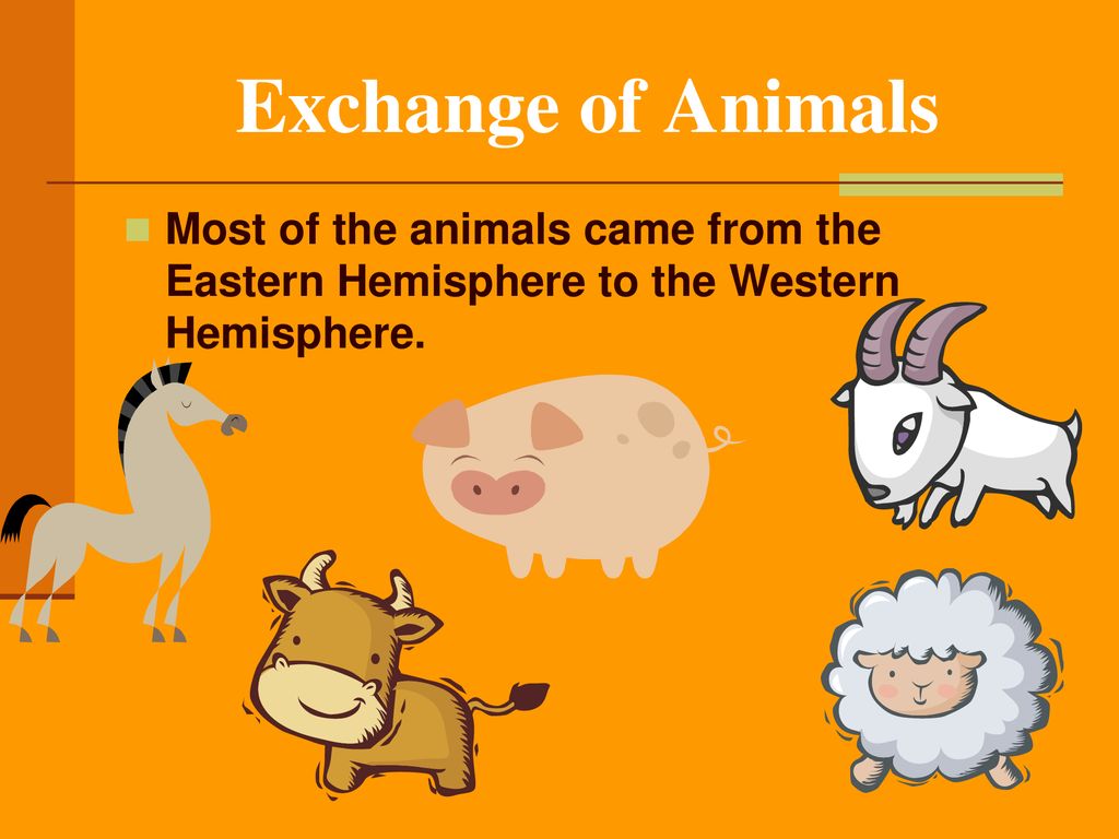 The Columbian Exchange - ppt download