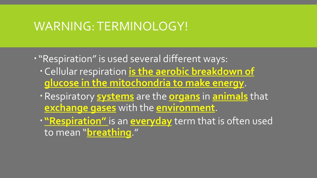 Week 4: Cardiovascular and Respiratory Systems - ppt download
