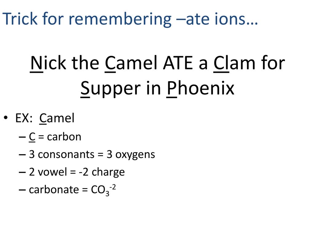 Nick the Camel ATE a Clam for Supper in Phoenix
