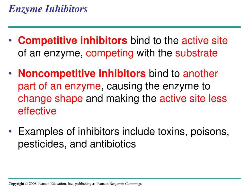 An Introduction to Metabolism - ppt download
