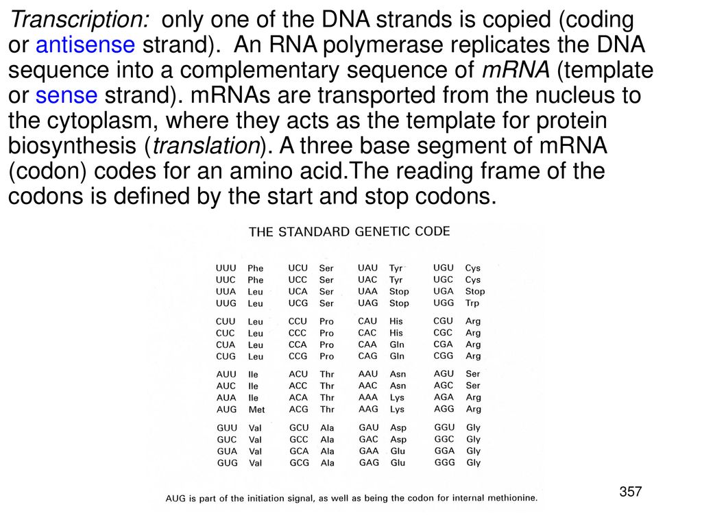 Nucleic Acids. Nucleic acids are the third class of biopolymers