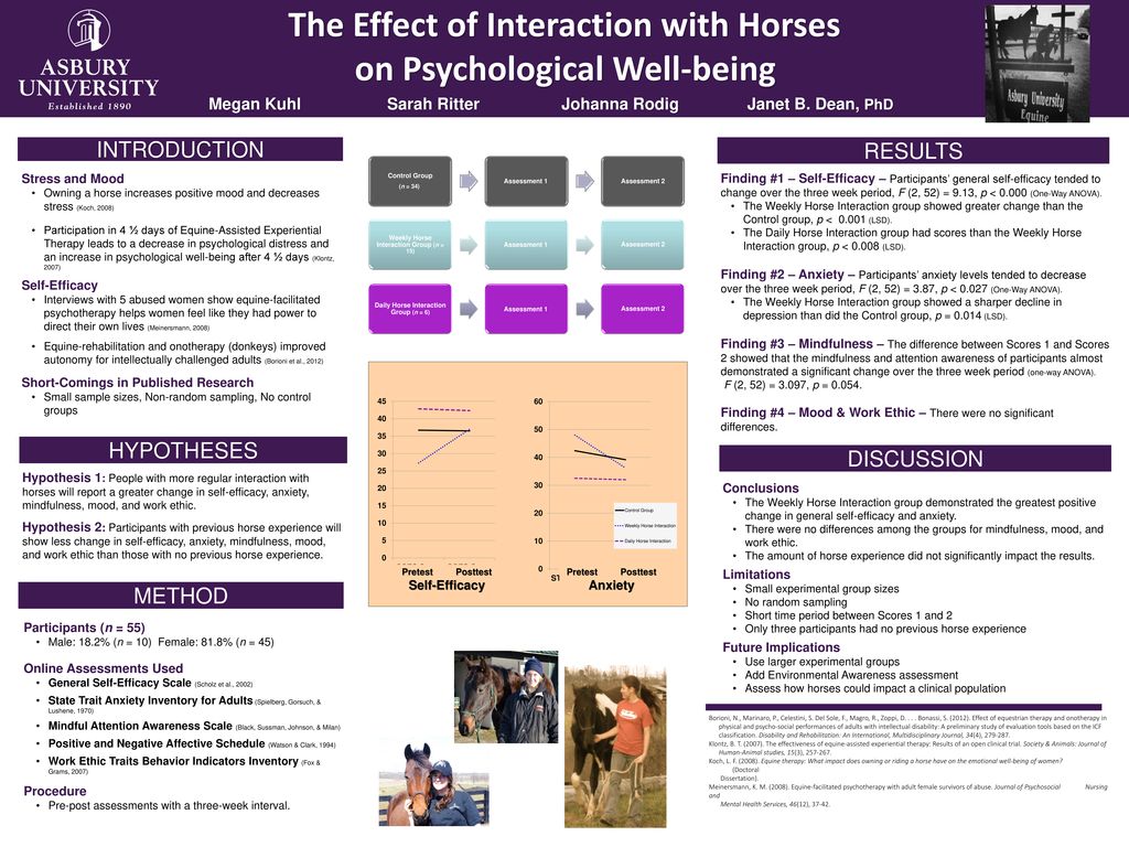 The Effect Of Interaction With Horses Ppt Download the-effect-of-interaction-with-horses-ppt-download