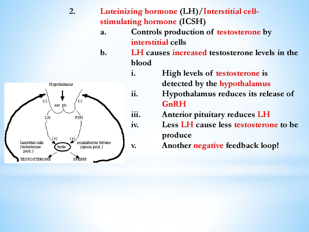 Control of Testosterone picture