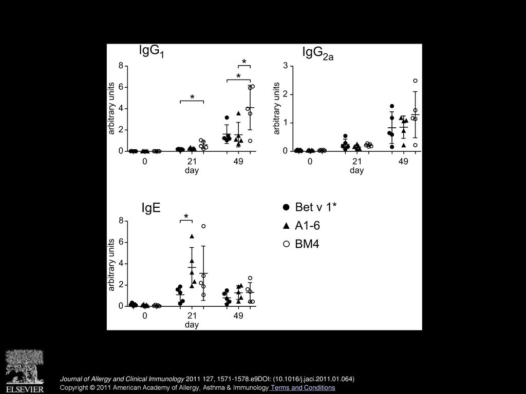 BALB/c mice were immunized 4 times with Bet v 1∗ (filled circle), A1-6 (filled triangle), or BM4 (open circle; n = 5 per group). Bet v 1∗–specific antibody levels were determined by ELISA. P values were calculated with t tests (∗P < .05).