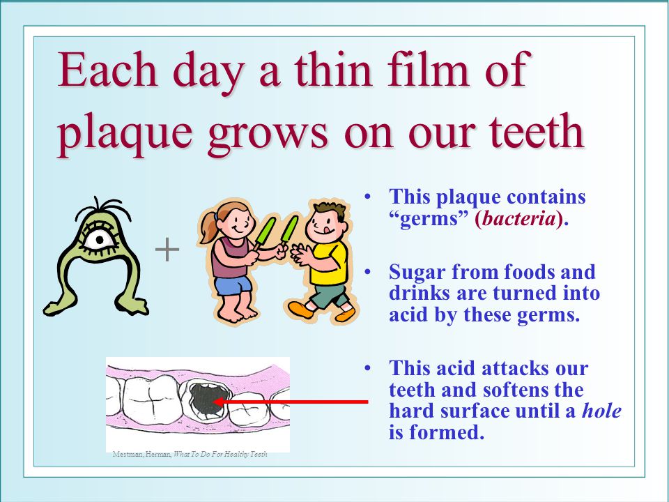 Each day a thin film of plaque grows on our teeth