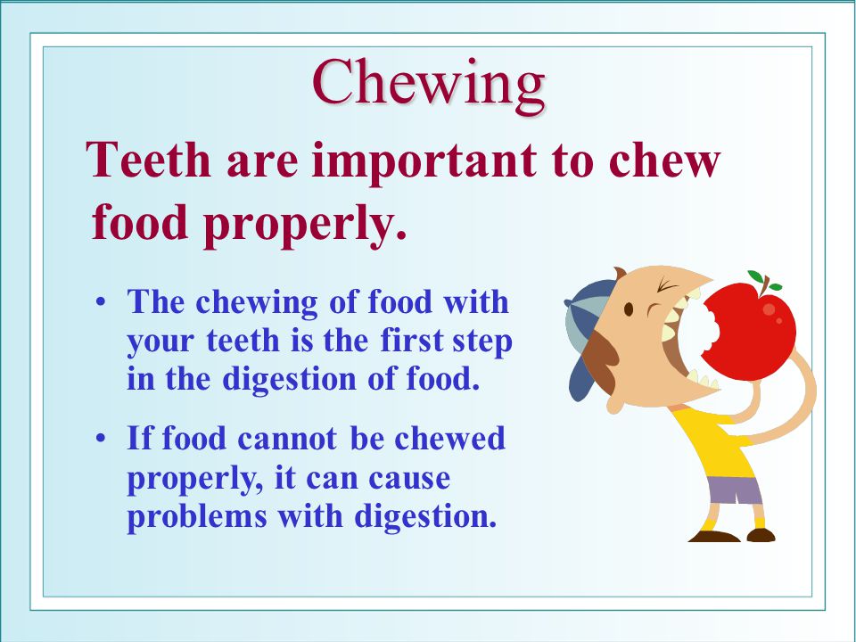 Chewing Teeth are important to chew food properly.