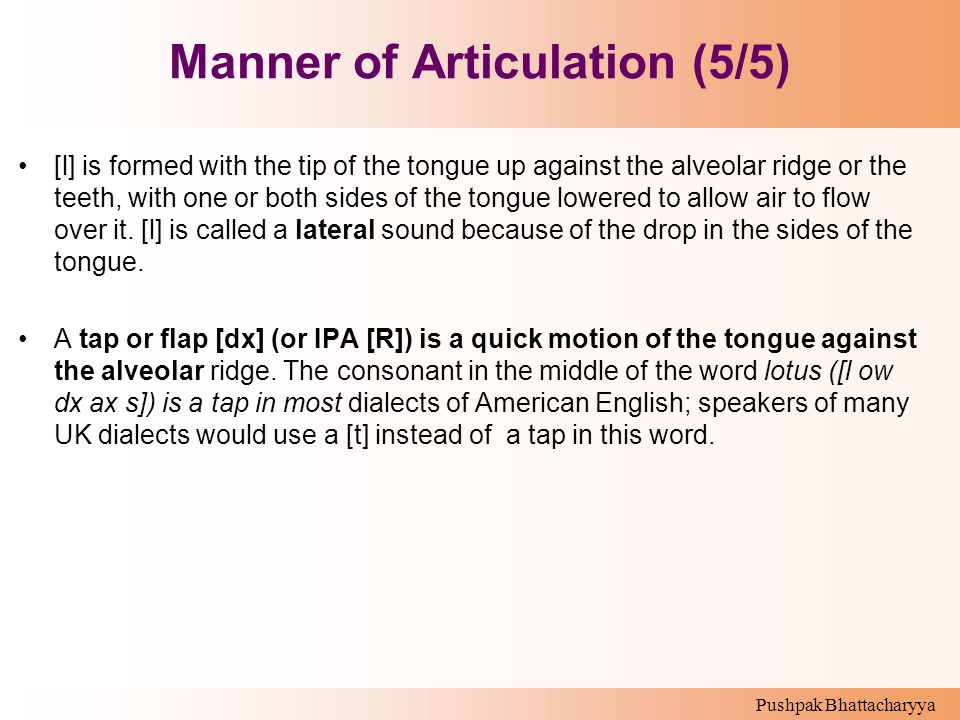 Manner of Articulation (5/5)