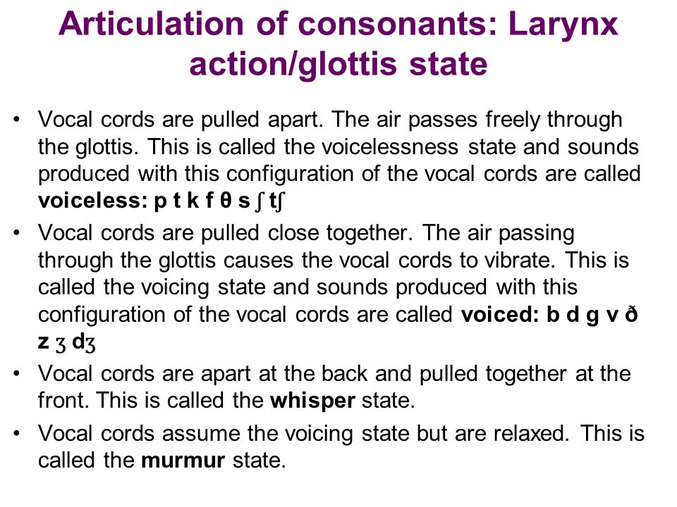 Articulation of consonants: Larynx action/glottis state