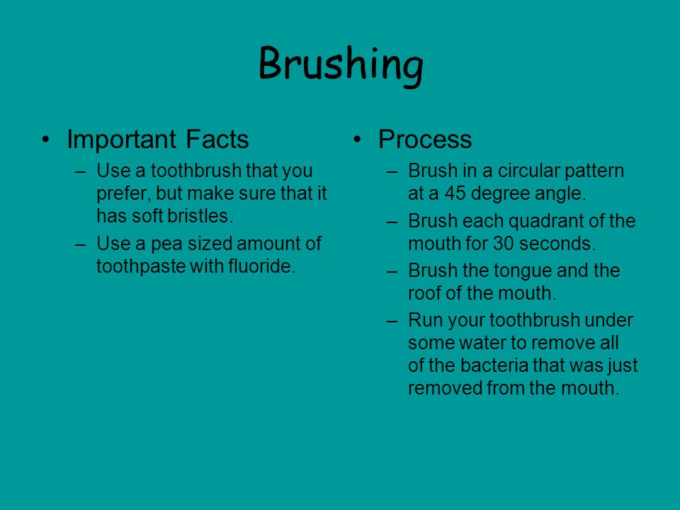 Brushing Important Facts Process