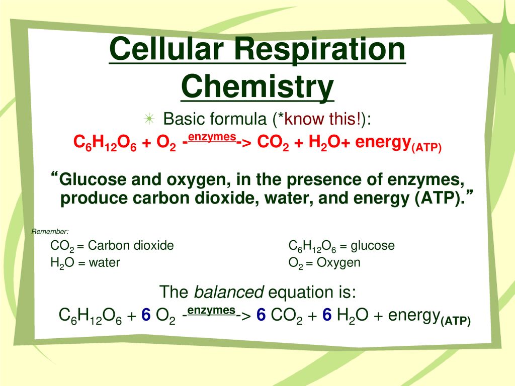Photosynthesis Cellular Respiration Chapter 5 Ppt Download
