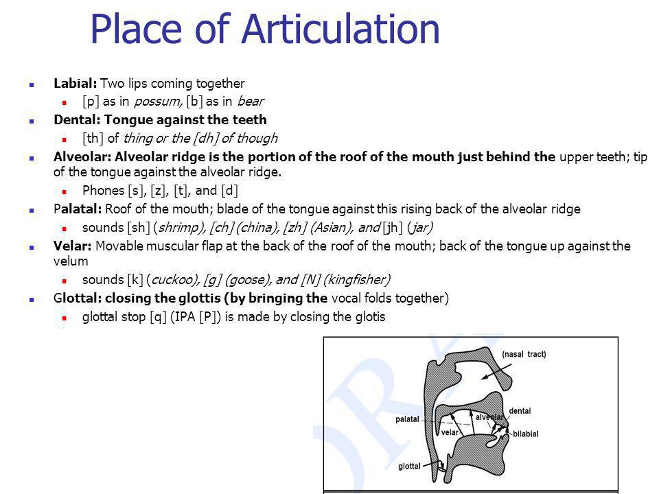 Place of Articulation Labial: Two lips coming together