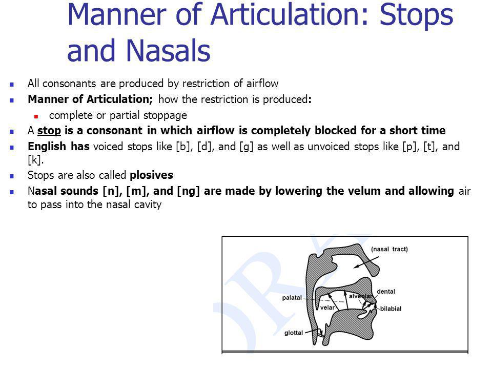 Manner of Articulation: Stops and Nasals