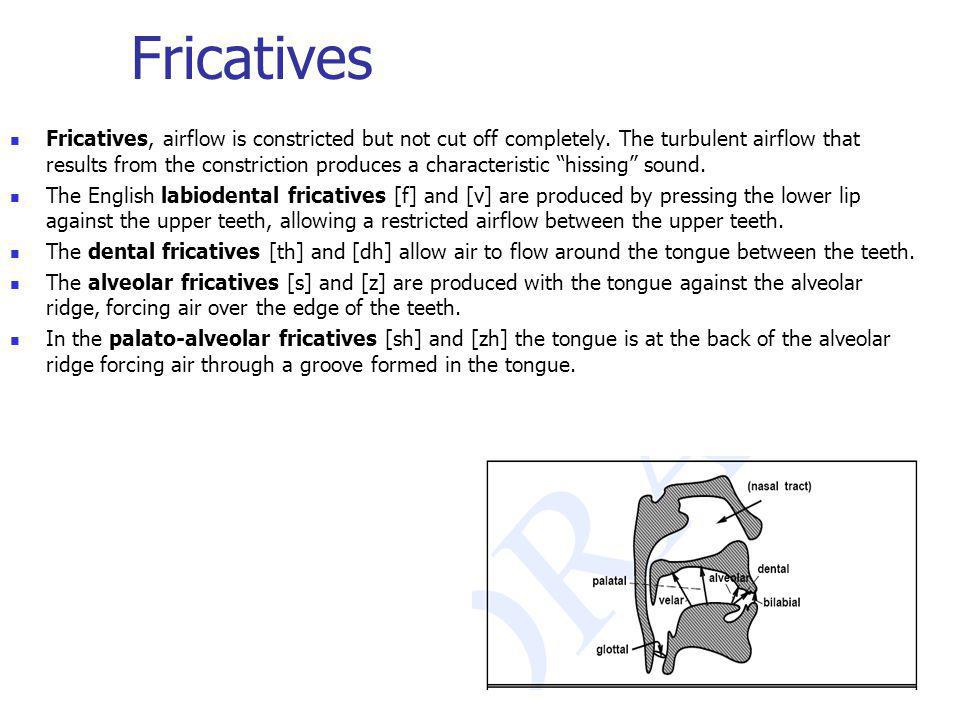 Fricatives