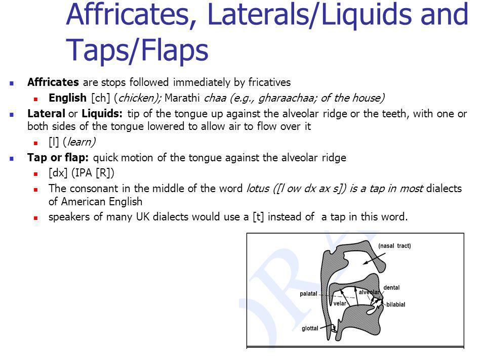 Affricates, Laterals/Liquids and Taps/Flaps