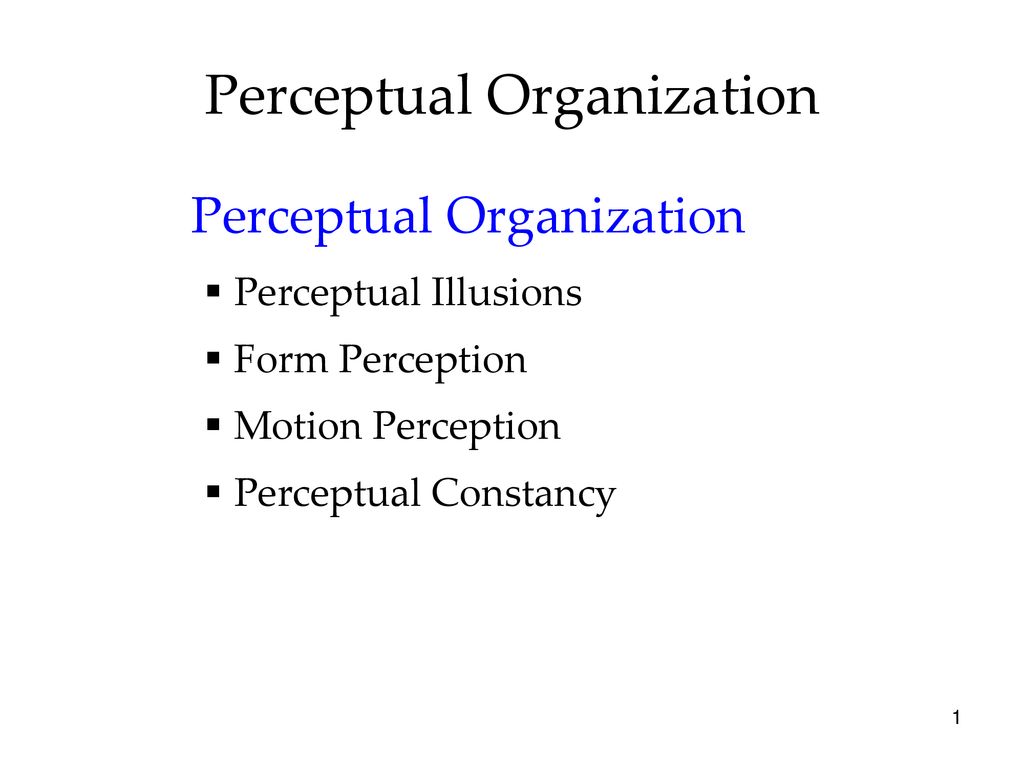 Perceptual Organization - ppt download