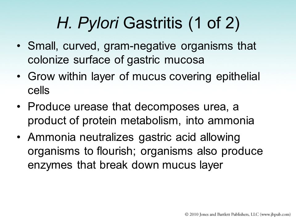 H. Pylori Gastritis (1 of 2)