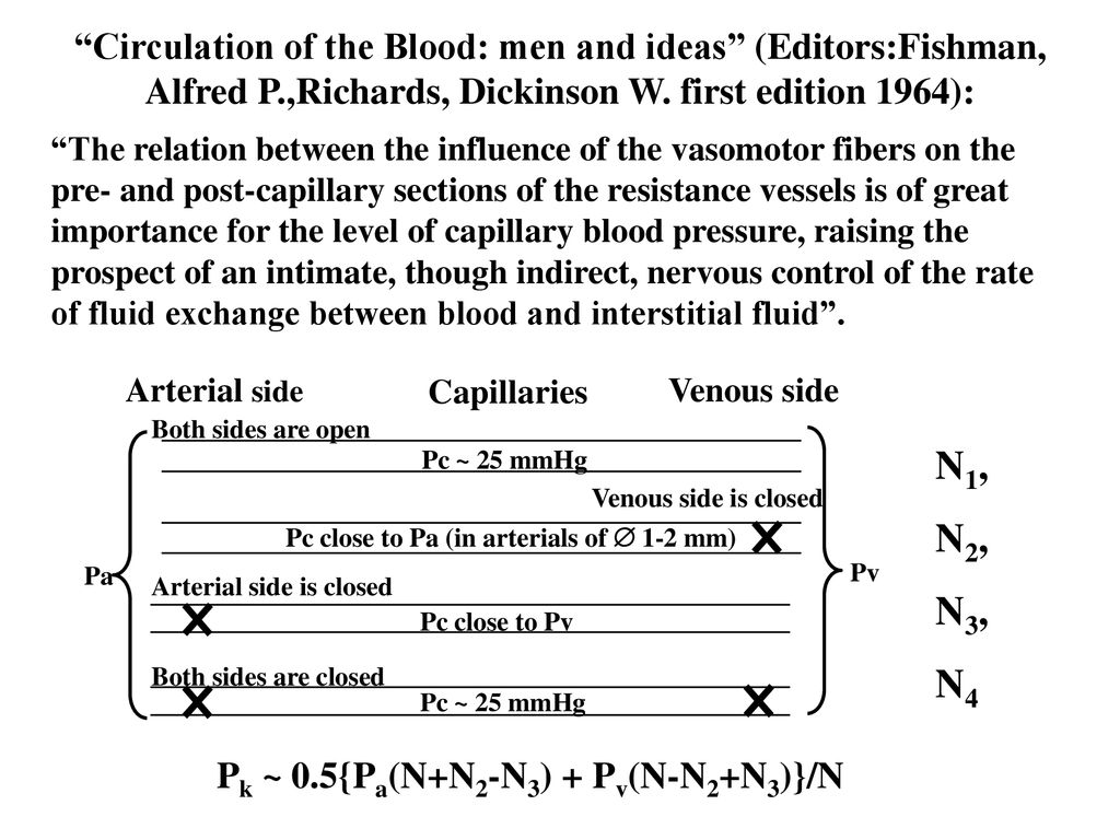 Math Model Of Tissue S Edema Kislukhin V V 1 Kislukhina E V Ppt Download